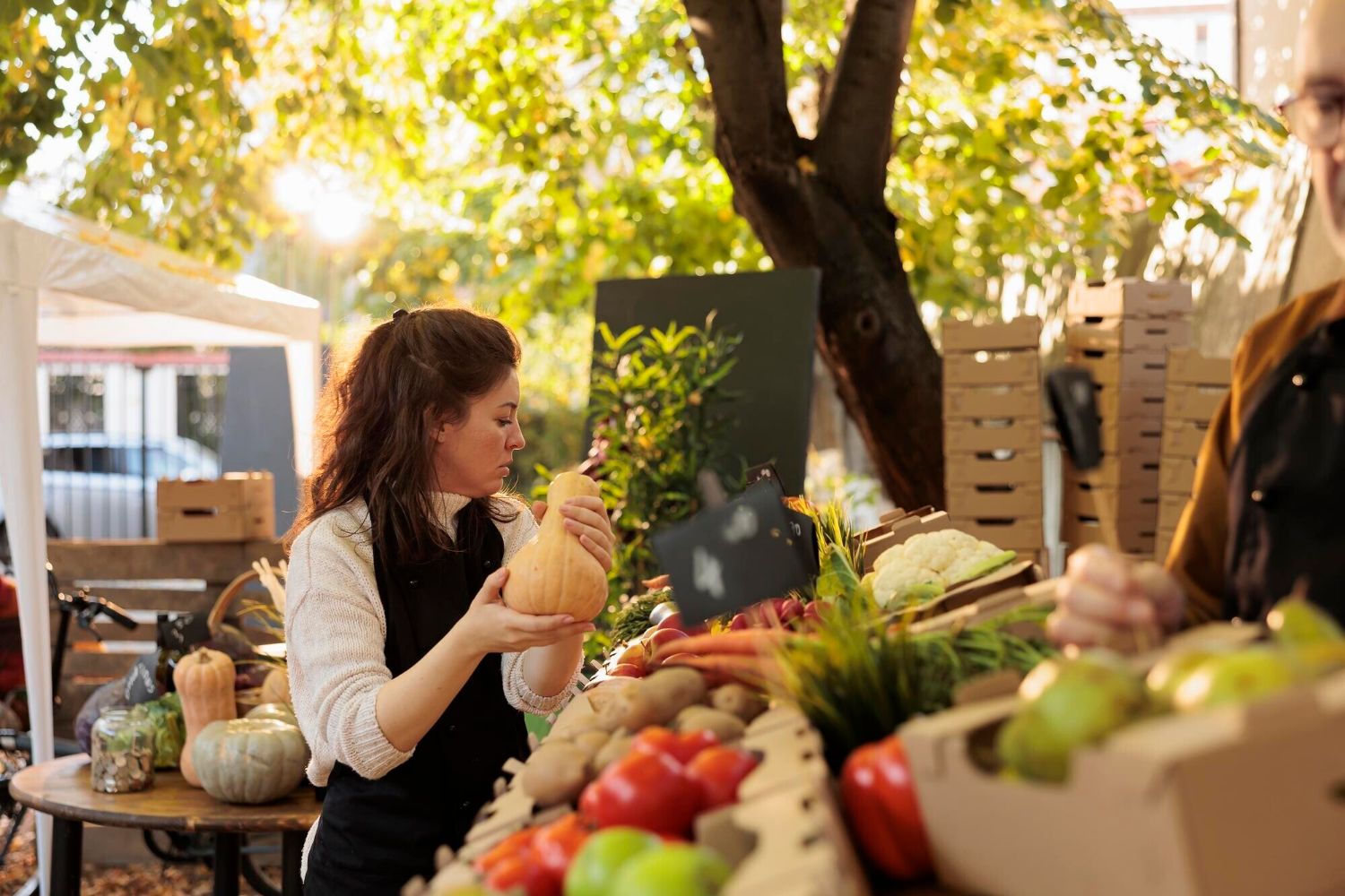 freepik-export-20241111081007Mf0D