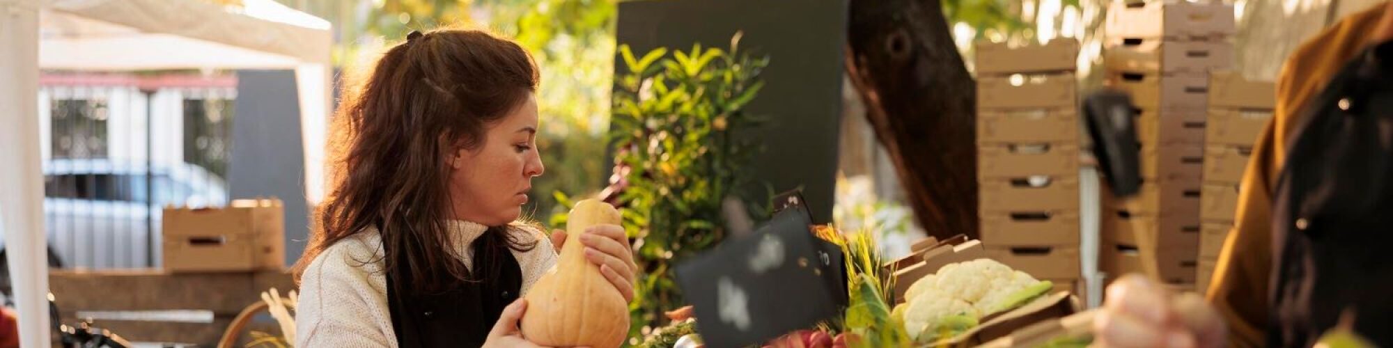 freepik-export-20241111081007Mf0D