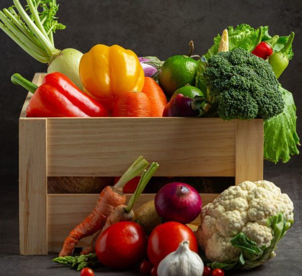 freepik-export-20241122124659MJxO