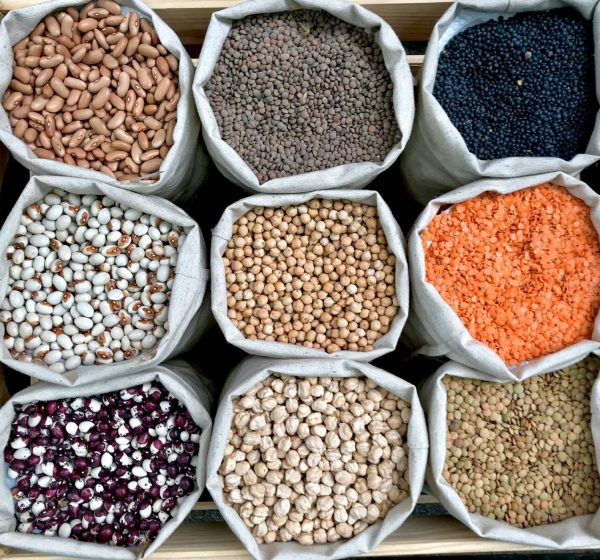 freepik-export-20241126075257Ru28